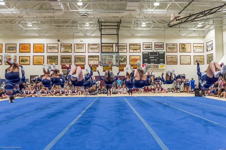 Wolverine Cheer 121